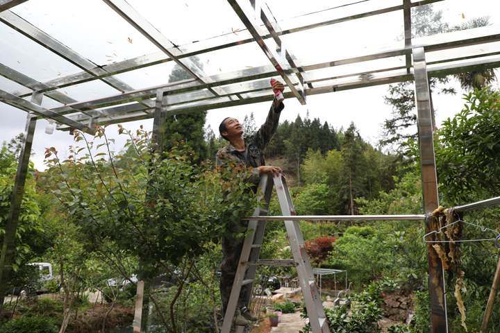Zhejiang Highlights: Agriculture holds up half the sky