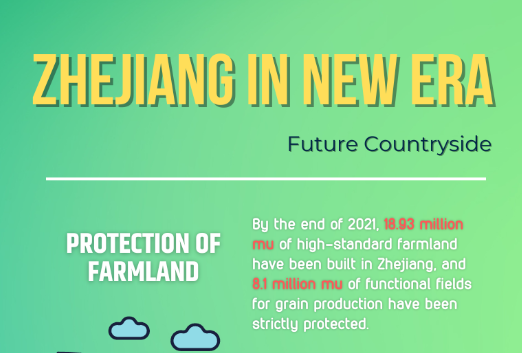 Infographic | The build-up of future countryside in Zhejiang