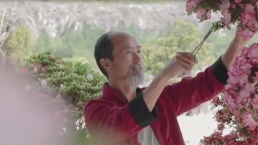 Villagers in Huzhou transformed mine into a secret garden