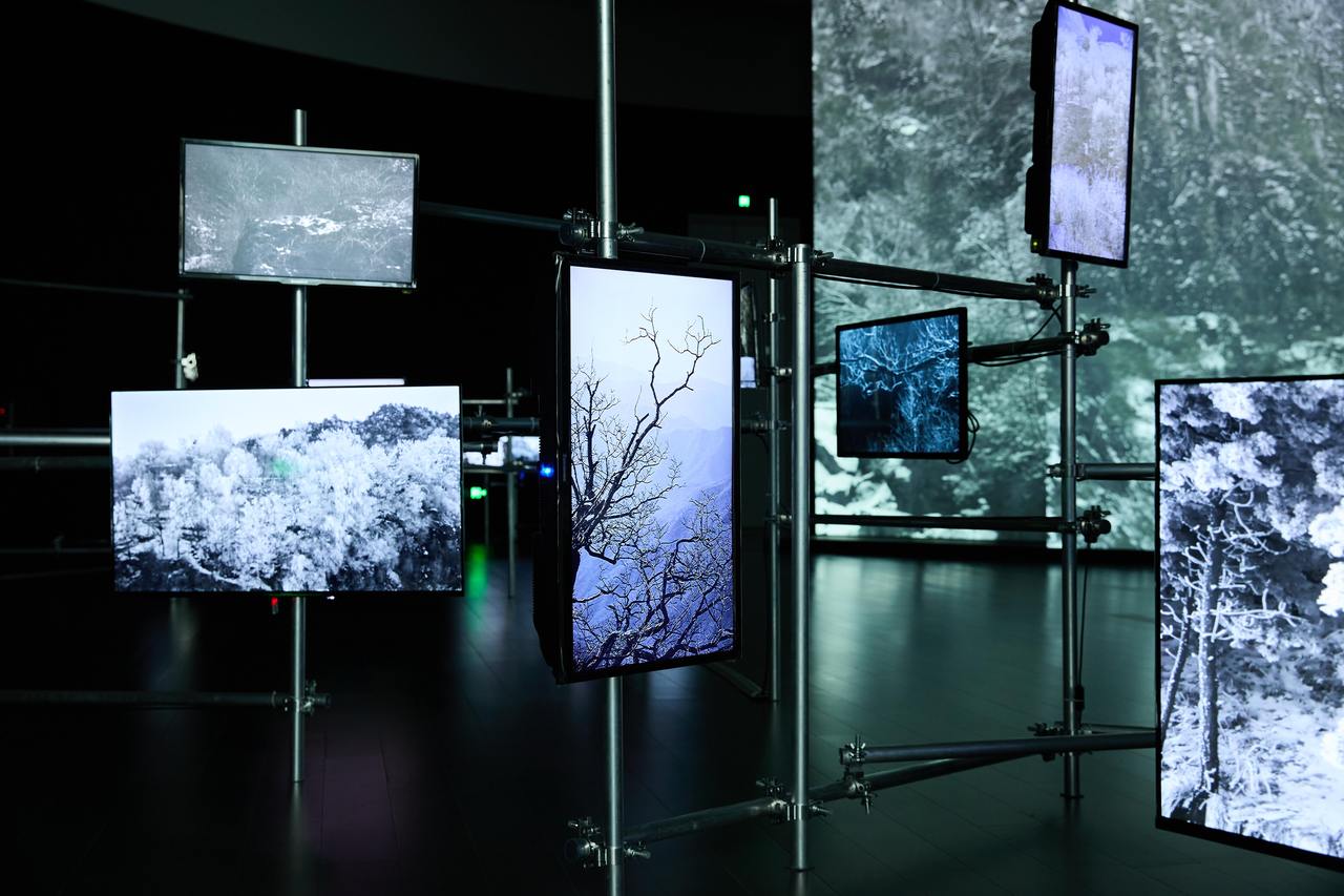 中国美术学院举办“浙江践行‘绿水青山就是金山银山’理念20年系列展”